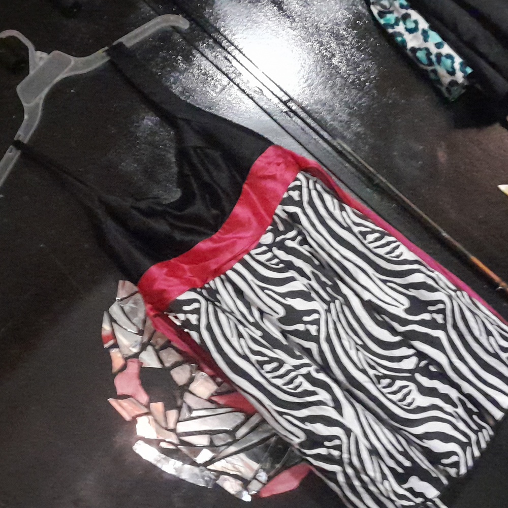 Zebra print dress